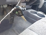 4TASM92N3WZ****** Salvage 1998 Toyota Tacoma in Louisiana State