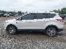 1FMCU9J99EU****** Salvamento 2014 Ford Escape
