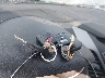 KMHDH4AE6EU****** Salvage 2014 Hyundai Elantra in Virginia State