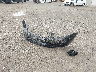 1HGCP3F88CA****** Wrecked 2012 Honda Accord in Ohio State