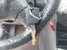 1HGCM56357A****** Salvage 2007 Honda Accord in South Carolina State