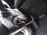 KNDJT2A66C7****** Salvage 2012 Kia Soul in Texas State