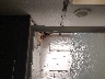 5ZT3WCZBXLG****** Destrozados 2020 Forest River Wildcat en Estado de Texas