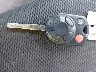 1FADP3K20EL****** Salvage 2014 Ford Focus in Florida State