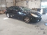 5NPEB4AC6DH****** Salvage and Wrecked 2013 Hyundai Sonata in High Point
