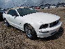 1ZVHT85H455****** Salvamento y Destrozados 2005 Ford Mustang en Lafayette