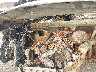 W1Y4EDHY4LP****** Repairable 2020 Mercedes-Benz Sprinter in Milwaukee