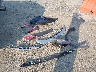 2T3BFREV8JW****** Destrozados 2018 Toyota RAV4 en Estado de Maryland