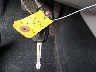 4T4BF1FK9CR****** Salvamento 2012 Toyota Camry en Estado de Colorado