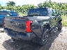 3TMKB5FN1RM****** Salvamento y Destrozados 2024 Toyota Tacoma en Estado de Luisiana