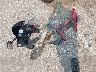 JYARJ06EX7A****** Salvamento 2007 Yamaha YZF-R6 en Estado de Indiana