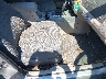 1FMCU0D72AK****** Usados y Reparables 2010 Ford Escape en Estado de Nueva York