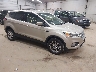 1FMCU9GD0HU****** Salvage and Wrecked 2017 Ford Escape in Erie