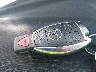 WDDGF4HB6DA****** Salvage 2013 Mercedes-Benz C 250 in North Carolina State