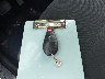 1C4RJFAG3CC****** Salvamento 2012 Jeep Grand Cherokee en Estado de Tennessee