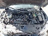 2HGFC1E50KH****** Repairable 2019 Honda Civic in East Bay