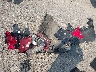 KNDEUCAA9S7****** Destrozados 2025 Kia Seltos en Estado de Nueva York