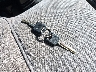 4F4CR12A8ST****** Salvage 1995 Mazda B Series in Florida State