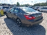1N4AL3AP4HC****** Salvamento y Reparables 2017 Nissan Altima en Tampa