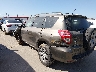 2T3BF4DV7CW****** Salvamento y Reparables 2012 Toyota RAV4 en Dallas-Fort Worth
