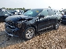 5XYRG4JC9RG****** Usados y Reparables 2024 Kia Sorento en Cincinnati