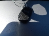 WAUBGAFL3CA****** Salvage 2012 Audi S4 in California State
