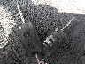 KNDJT2A53D7****** Salvamento 2013 Kia Soul en Estado de Kansas