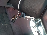JHMCN36465C****** Salvage 2005 Honda Accord Hybrid in Texas State