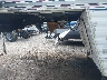 47CF40M21WR****** Salvage 1998 Dutchmen Manufacturing Classic 26rl Ssl in South Bend
