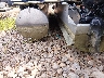 STR5020***** Used and Repairable 2018 Starcraft Pontoon in Fremont WI Off Site (522)