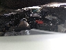3CZRZ1H39RM****** Repairable 2024 Honda HR-V in Ace Perris