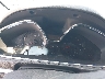 1GNKVGKD0HJ****** Salvage 2017 Chevrolet Traverse in Bridgeport