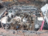 2G2GJ11A7H2****** Repairable 1987 Pontiac Grand Prix in Dream Rides