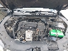 19UUB1F56FA****** Repairable 2015 Acura TLX in Tampa