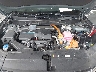 KM8JCCD14RU****** Reparables 2024 Hyundai Tucson Hybrid en Tampa