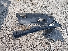 1C4PJMMXXMD****** Wrecked 2021 Jeep Cherokee in Ohio State