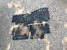 JM1BL1U59B1****** Wrecked 2011 Mazda 3 in Colorado State