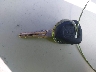 1HGEM22981L****** Salvamento 2001 Honda Civic en Estado de California