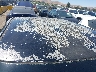 1N4AA6AP2HC****** Salvage and Repairable 2017 Nissan Maxima in California State