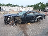 1FA6P8AM4F5****** Salvamento y Reparables 2015 Ford Mustang en Estado de Nueva York