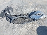 4T1G11AK4LU****** Wrecked 2020 Toyota Camry in California State