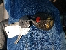3GNTKGE38BG****** Salvamento 2011 Chevrolet Avalanche 1500 en Estado de Indiana