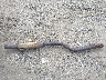 JM3ER29L780****** Destrozados 2008 Mazda CX-7 en Estado de Massachusetts