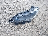 1C3CCCAB8FN****** Destrozados 2015 Chrysler 200 en Estado de Massachusetts