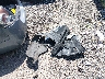 1N4AL2AP1AN****** Wrecked 2010 Nissan Altima in Arkansas State