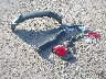 2FMDK3KC7DB****** Used and Repairable 2013 Ford Edge in Little Rock