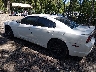 2C3CDXCT4EH****** Salvamento y Reparables 2014 Dodge Charger en Suffolk