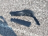 SADCK2GX1JA****** Wrecked 2018 Jaguar F-PACE in Nebraska State