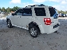 1FMCU0EG7CK****** Salvamento y Reparables 2012 Ford Escape en Tampa