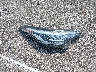 JTNKHMBX8M1****** Wrecked 2021 Toyota C-HR in Indiana State